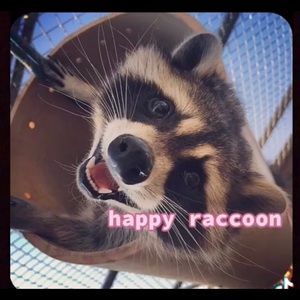 Meet your Posher, Kyra